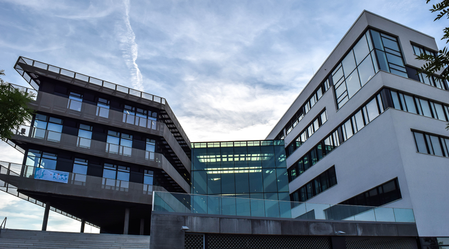 The Yuvarajya The Yuvarajya